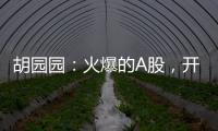胡园园：火爆的A股，开放的集市，挡不住的外资